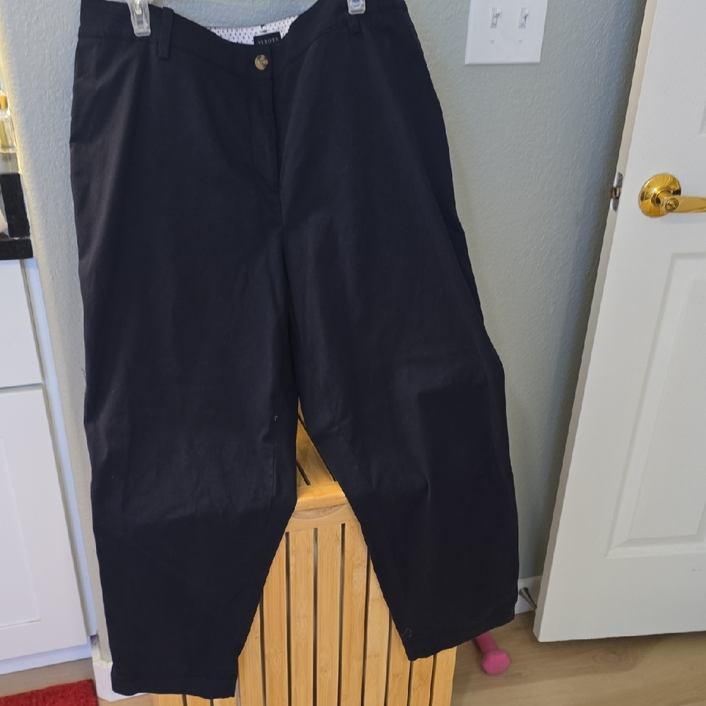 Talbots Women's Dark Navy Chinos